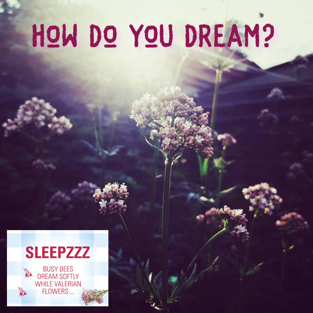 What's REM Sleep And How Do You Dream? – SLEEPZZZ